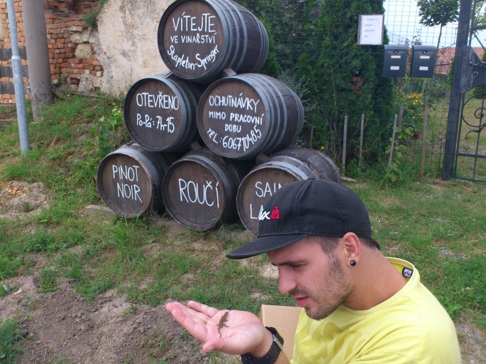 Morava